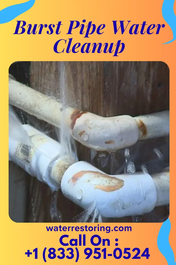 Burst Pipe Water Cleanup in Schell City, MO
