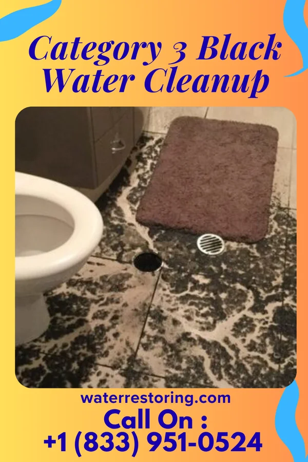 Category 3 Black Water Cleanup in Schell City, MO