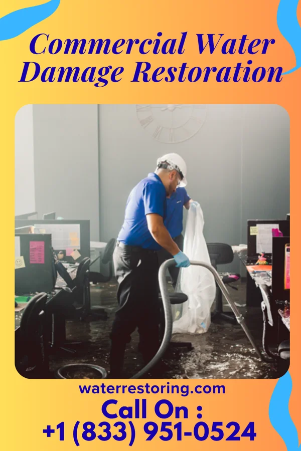 Commercial Water Damage Restoration in Schell City, MO