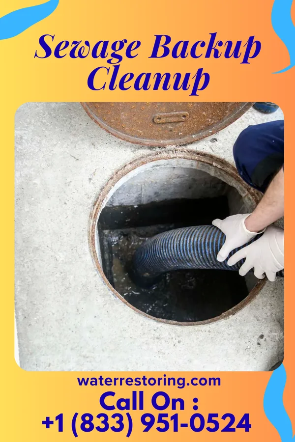 Sewage Backup Cleanup in Schell City, MO