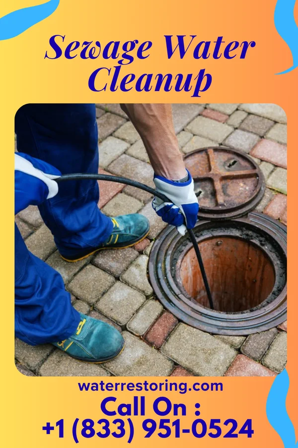 Sewage Water Cleanup in Schell City, MO