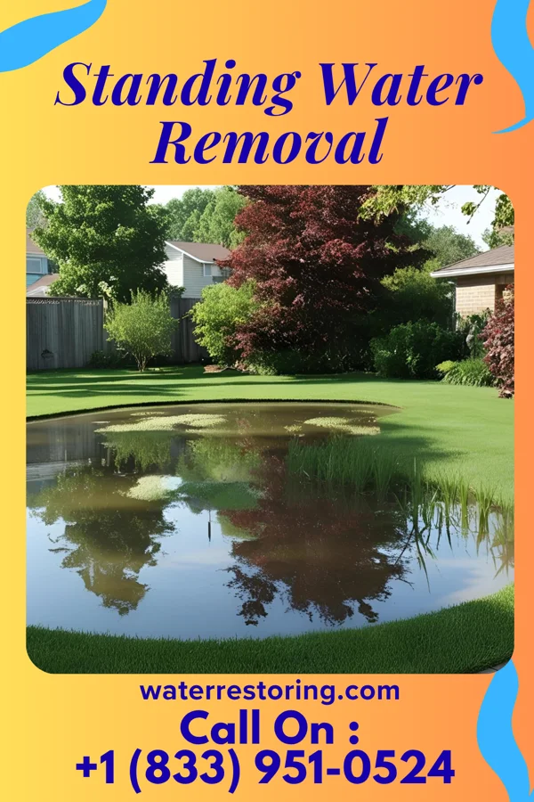 Standing Water Removal in Schell City, MO